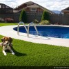 Pets, pools and synthetic grass